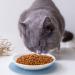 Ceramic Cat Food Plates and Wide Bowls for Stress-Relief Whisker Fatigue | Cat Feeding Dishes in White & Black - Buy Online on GoSupps.com