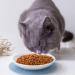 Dorakitten Ceramic Cat Food Plate - Non-Slip Mat, Stress-Relief Shallow Bowl for Kittens - Buy Online on GoSupps.com