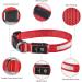 MASBRILL Dog Hall Luminous USB Charging Waterproof LED Band for All Dog Sizes - Adjustable Safety Collar with 3 Lighting Modes (Red M 38-50cm) - Buy Online on GoSupps.com