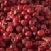 Buy Bremer Gew rzhandel Red Pepper Berries - Whole & Slightly Spicy | 50g for Salads & Vegetables - Buy Online on GoSupps.com
