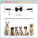 Hacraho Formal Dog Collar with Fly - Tuxedo Style Pet Smoking Collar for Medium & Large Dogs (Neck 18.98-20.98) - International Shipping Available - Buy Online on GoSupps.com