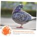100 pcs Xuan Feet Charms Colorful Hen Leg Drumstick Number Products Stuff Identification Pigeons 1.3X1.3CM Orange - Buy Online on GoSupps.com