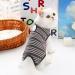 Clrybo Katzenbody: Professional Recovery Suit for Cats - After Op Anti-Trim Clothing for Belly Wounds & Skin Diseases - Striped Gray Medium - Ideal Post-Surgery Cat Wear - Buy Online on GoSupps.com