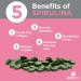 ENERGYbits BEAUTYbits Spirulina Algae Tablets - High Protein Superfood for Skin, Hair, Nails - Non-GMO, Non-Irradiated, Chlorophyll Rich - 1000 Tablets - Buy Online on GoSupps.com