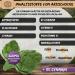 ARTALCHOCKING Extract 2400mg - 30:1 Artichoke Capsules | High Dose 72000mg & Vegan | Laboratory Tested - Buy Online on GoSupps.com