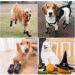 Kingrun Non-Slip Dog Socks 3 Pairs of Soft Adjustable Indoor Paw Protection for Large Dogs | Traction Control for Hardwood Floors - Buy Online on GoSupps.com