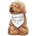 Vercosee Promoted to Big Sister Dog Bandana - Pregnancy Announcement Pet Scarf in White - Buy Online on GoSupps.com