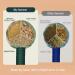 Buy 2-g Lymphatic Drainage Hammer Stick | Manual Massage Hammer for Muscle Relaxation | 26cm Wormwood Massage Tool - International Shipping Available - Buy Online on GoSupps.com