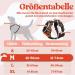 Rabbitgoo Adjustable Dog Harness for Medium Dogs | No-Choke Reflective Soft Padded Anti-Pull with Handle - Orange (1 Pack) - Buy Online on GoSupps.com