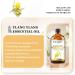 EUQEE Ylang Ylang Essential Oil 118ml - Pure Natural Diffuser Oil for Home Aromatherapy and Relaxation - Buy Online on GoSupps.com