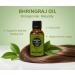 EARTH N PURE Bhringraj Oil Natural & Therapeutic Grade for Hair Growth 15 ml Bhringraj 0.53 Fl Oz (Pack of 1) - Buy Online on GoSupps.com