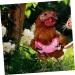 SEWOART Chicken and Duck Vest Hen Pet Harness Puppy Harness Comfortable Pet Harness Pet Leash Polyester Pink 17X15X0.5CM Pink - Buy Online on GoSupps.com