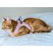Buy Belffy Cat Dishes & Leash Set - Automatic Leash for Cats Kittens & Dogs | Outbreakproof Jacket & Leash for All Sizes - Medium Pink - Buy Online on GoSupps.com