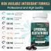 2400MG Liposomal Glutathione Supplement - Max Absorption Non-GMO Antioxidant with Hyaluronic Acid & Resveratrol for Aging Defense - 120 Softgels - Buy Online on GoSupps.com