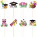 GORWERY 24pcs Hawaii Graduation Cupcake Toppers Class of 2024 Graduation Cupcake Picks for Graduation Party Appetizers Cake Dessert Decorations - Buy Online on GoSupps.com
