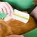 Pet Comb for Cats | Double-Sided Dog Grooming Comb Pet Flea Comb Hangable Cat Grooming Comb Pet Grooming Comb for Home Pet Shops Green - Buy Online on GoSupps.com