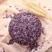 purple rice 17.63oz New rice in the season brown rice Purple glutinous rice Coarse Cereals Coarse grain 500g - Buy Online on GoSupps.com