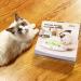 Pettom Interactive Cat Toy | Electric Butterfly Funny Exercise Toy for Kittens | Rotating Pop N Play Toy with Replacement Feathers | Green - Buy Online on GoSupps.com
