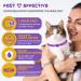 HRAMEX Calming Collar for Cats 4 Pack Cat Calming Collar Comforting pet Within 1 Hour Efficient Relieve Anxiety Stress Cat Pheromone Collar Cat Calming Collar for Anxiety Fit Most Size Cats - Buy Online on GoSupps.com