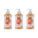 Orange Blossom & Honey Liquid Hand Wash by SoF Body Care (Formerly South of France Body Care) | Moisturizing Liquid Hand Soap with Sea Algae | 8 oz Pump Bottle Each | 3 Bottles Orange Blossom Honey 8 Fl Oz (Pack of 3)