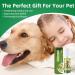 Pet Oral Spray Pet Teeth Care Freshens Breath Without Brushing and Reduces Tartar Build-up in Petscat Dental Care (1) - Buy Online on GoSupps.com