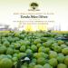 Frantoi Cutrera Primo Cold Extracted Italian Extra Virgin Olive Oil - 25.4 fl oz (Pack of 1) - Buy Online on GoSupps.com