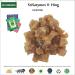 AOZA Hada Hing | Hing Hadda | Ferula Asafoetida (50g) - Buy Online on GoSupps.com
