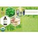 SVA Organics Citronella Essential Oil USDA Organic 4 Oz - Pure & Natural Therapeutic Grade Oil for Skin, Body, Diffuser & Candle Making - Buy Online on GoSupps.com