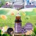 Shop Oukzon Essential Oils - 20x5ml Fragrance Oils for Diffusers | Pure Aromatherapy for Valentine's Day - Lavender Tea Tree & More - Buy Online on GoSupps.com