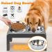 URPOWER Elevated Dog Bowls | Height Adjustable Raised Stand with 2 Stainless Steel Bowls | Non-Slip Stand for Small Medium Large Dogs and Pets | Grey - Buy Online on GoSupps.com