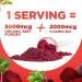 Buy Beet12 Organic Beet Root Powder with Vitamin B12 - Nitric Oxide Booster & Black Cherry Flavor | 30 Servings - Buy Online on GoSupps.com