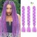 Just Another One 24inch Hair Extensions for Jumbo Braiding Colourful Pre Stretched Hair Heat Resistant Yaki Synthetic African Box Braids Crochet Twist hair for Women Girls & Unisex Purple - Buy Online on GoSupps.com