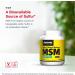 Jarrow Formulas MSM Powder 2.2 lbs - Pure Sulfur Supplement for Joint Health - Buy Online on GoSupps.com