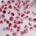 50x/Set 3D Flower Nail Art Nail Art Supplies Camellia Nail Nail Art Decorations For Acrylic Nails 50 Pcs Flower Nail Art Decorations Camellia Nail Charm Nail Art Decor - Buy Online on GoSupps.com
