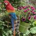 Garden Outdoor Decorative Resin Craft Simulation Parrot Decoration Ornaments Outdoor Garden Parrot Pendant Bird Animal Sculpture Decor Ornament - Buy Online on GoSupps.com