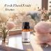 JCLOUD Dream On Essential Oil for Diffuser - Premium Aromatherapy Oil with Passion Fruit Peony & Orchid - Natural Pet Safe & Luxury Scents - 10mL - Buy Online on GoSupps.com