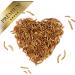 Lyra PET Mealworms 1kg - Premium Fish Feed for KOI | High Protein Rich in Vitamins & Minerals | Ideal for Decorative & Pond Fish - Buy Online on GoSupps.com