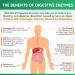 Organic Digestive Enzymes 1000MG + Prebiotics & Probiotics | 180 Capsules | Vegan Formula with Amylase & Bromelain - Buy Online on GoSupps.com
