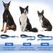 Vivaglory Short Dog Leash - 32cm Traffic Training Leash for Medium & Large Dogs - Blue - Buy Online on GoSupps.com