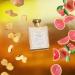 Fake At the End | Inspired by L Immensite 3.4oz Men's Cologne | Almost an Exact Clone | 3.4oz Eau de Parfum | Addictive Sweet-Spicy Amber Masculine Scent | Unisex Fragrance is Addictive! At the End --&gt Inspired by L'immensite 3.4 Fl Oz (Pack of 1) - Buy Online on GoSupps.com