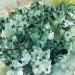 Natural Crystal Rough 1pc 400g-500g Natural Green Phantom geode Quartz Cluster Rough Cluster for Sale - Buy Online on GoSupps.com