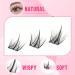 100pcs Cluster Lashes D Curl Individual Eyelashes DIY Lash Clusters Wispy Cluster Eyelash Extensions Manga Look Lahes Idividual Custer DIY Eyelashes Extensions by Goddvenus Natural Clusters-QC - Buy Online on GoSupps.com