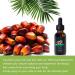 GkgWuxf Moisturizing Hair Oil Repairing Oil For Damaged Hair AntiFrizz Thickening Conditioner For Damaged Hair Oily Scalp Men Women - Buy Online on GoSupps.com