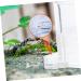 SEWOART 2pcs Ant Water Feeder Ants Ant Nest Water Feeder Ant Liquid Feeder Pet Waterer Transparent Acrylic - Buy Online on GoSupps.com
