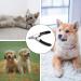 Professional Pet Nail Clippers & Claw Cutters for Dogs Cats Kittens & Small Animals - Grooming Tools for Safe Easy Claw Care - Buy Online on GoSupps.com