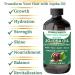Premium Organic Cold Pressed Jojoba Oil - 100% Pure & Natural Moisturizer for Skin Hair & Scalp - 4 fl oz Glass Bottle - Buy Online on GoSupps.com