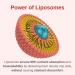 Vitaminally Liposomal Liquid prenatal+ Postnatal - Iron Free | Sugar Free | Non-GMO | Gluten Free| Supports Baby Development and Moms Health Throughout The Pregnancy and Nursing - Buy Online on GoSupps.com