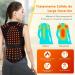 Magnetic Self-Heating Back Support Vest for Pain Relief - Lumbar Support Belt with 108 Magnets - Posture Correction for Men & Women - Winter Warm Thermoo Stock - Available in Large Black - Buy Online on GoSupps.com