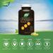 Nature's Way NutraSea+D Omega 3 + Vitamin D Supplement Fresh Mint 150 Soft Gels Fresh Mint 150 count (Pack of 1) - Buy Online on GoSupps.com