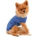 Shop Paidful 100% Cotton Summer Striped T-Shirt for Small Dogs - Blue Welpe Tee for Chihuahua & Yorkshire | Sizes M (Back Length 25cm Bust 37cm) - Buy Online on GoSupps.com